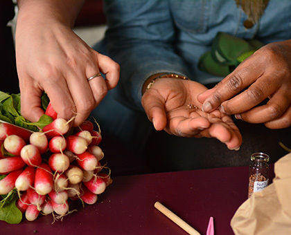 19 et 20 mars : 1ère édition des 48h de l'agriculture urbaine