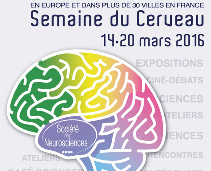Une semaine pour mieux comprendre le fonctionnement du cerveau