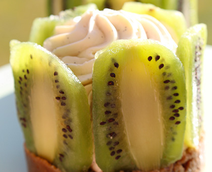Le Vitality Cheesecake kiwi & vanille
