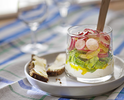 Verrine de radis