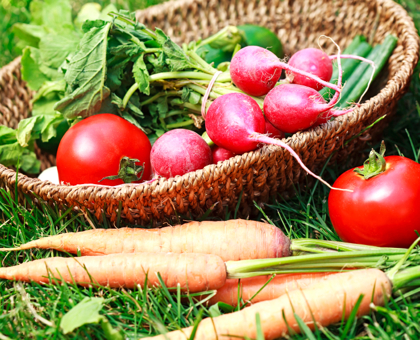 Comment débarrasser naturellement mes fruits et légumes des résidus de pesticides ?