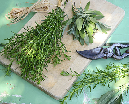 DIY : Déodorant naturel à la sauge et au romarin