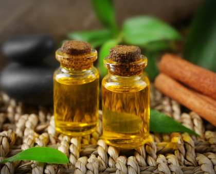 L'huile essentielle de Tea-Tree : un indispensable