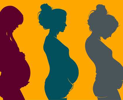 La grossesse - semaine 18