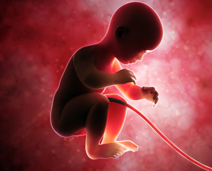 La grossesse - semaine 34