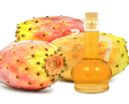 Le cactus, cet allié beauté miraculeux encore méconnu…