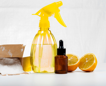 Les solutions bio et naturelles pour un intérieur parfait