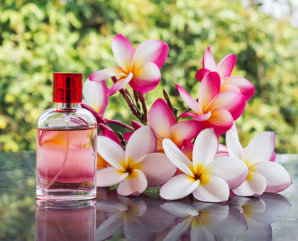 Parfum, eau de parfum, eau de toilette… Quelles sont les différences ?