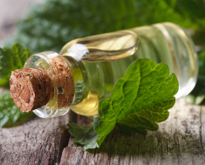 DIY : lotion clarifiante à la menthe