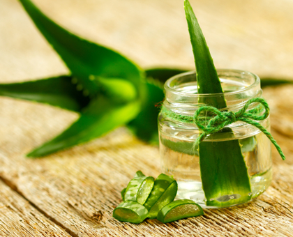 5 façons d'utiliser le gel d'Aloe Vera