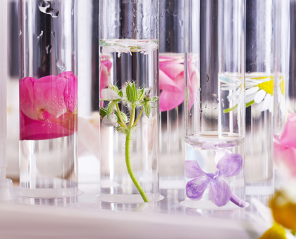 Booster sa peau grâce aux eaux florales !