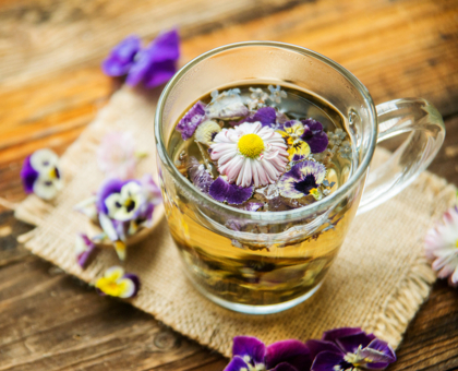 Calmer une conjonctivite grâce à la camomille