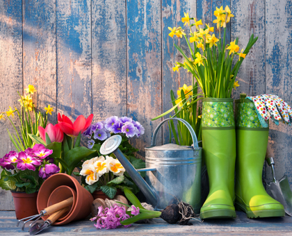 Jardiner au mois de mai : que faire ?