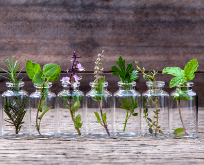 Les 12 huiles essentielles à avoir chez soi