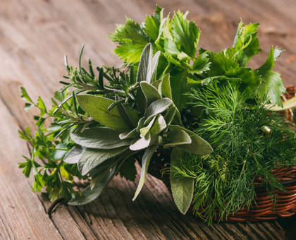 Les bienfaits des aromates sur la santé