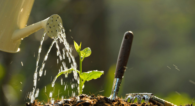 Arrosez sans gaspiller !