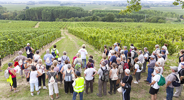 Les 7 et 8 septembre 2013, randonnez à travers les vignes du Val de Loire !