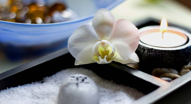 Des plantes et des fleurs pour un intérieur plus Feng shui