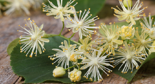 3 remèdes naturels contre les cauchemars