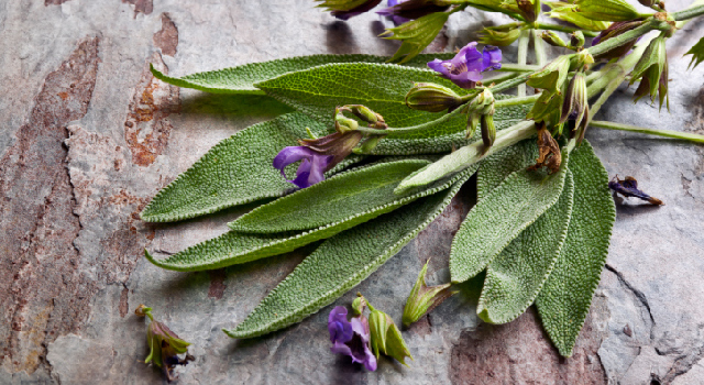 4 recettes naturelles contre la transpiration des pieds