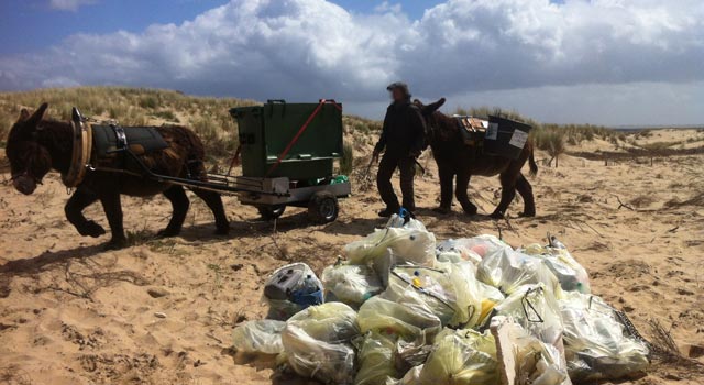 Nettoyage des plages : on se mobilise !