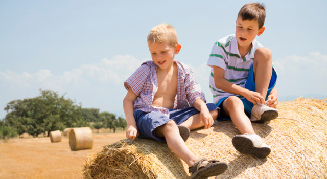 Des pesticides dans les cheveux de nos enfants