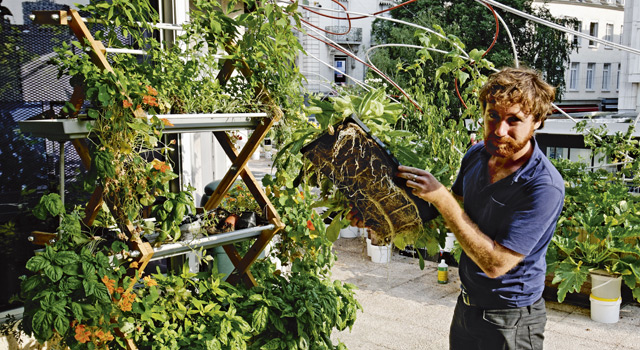Comment créer un mini-potager sur son balcon ?