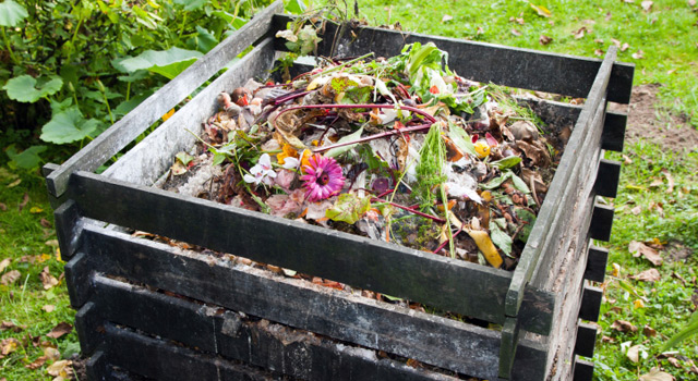 Que mettre dans son compost ?