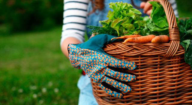Livres : 3 nouveautés pour réussir son potager