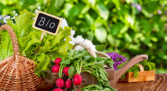 Printemps Bio 2014, à la découverte des terroirs bio de France