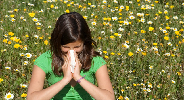 Alerte maximum aux pollens sur toute la France