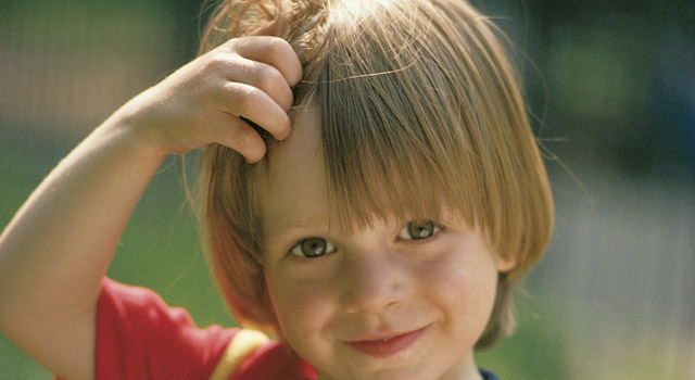 Les poux, un véritable casse-tête pour les parents !