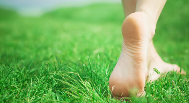 Les verrues : comment s'en débarrasser ?