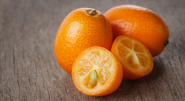 Le kumquat, petit mais costaud !