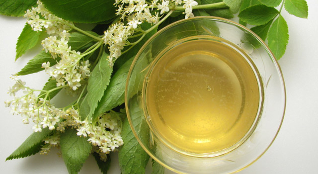 Soulager les infections respiratoires avec le sureau