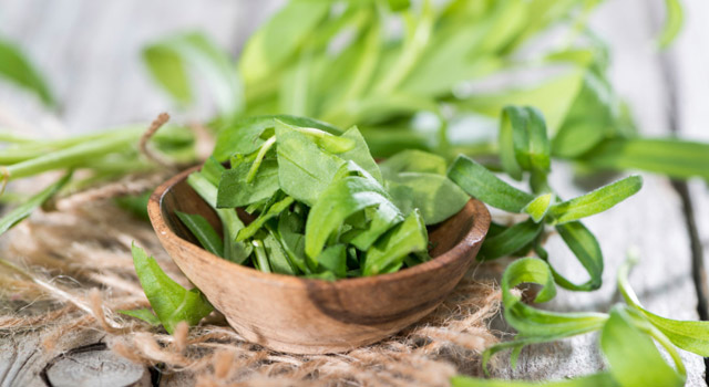 L'estragon, favorise la digestion et calme les contractures