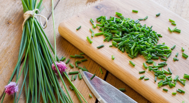 La ciboulette, une plante riche en fer qui protège des infections
