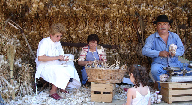 En août on célèbre l'Ail Rose de Lautrec, un trésor de la gastronomie française !