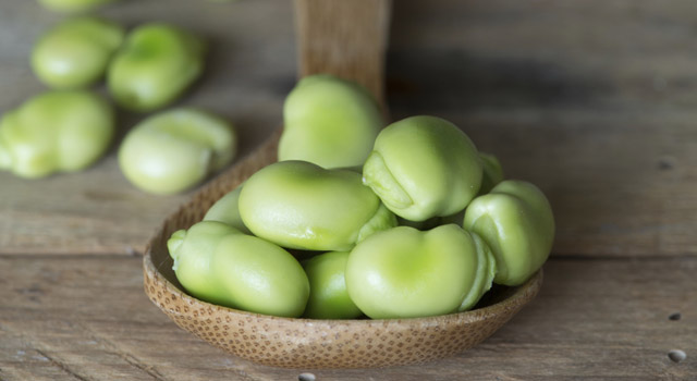 La fève fraîche, riche en fibres et en protéines végétales