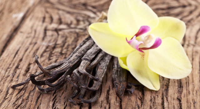La vanille : coupe-faim et antistress naturel