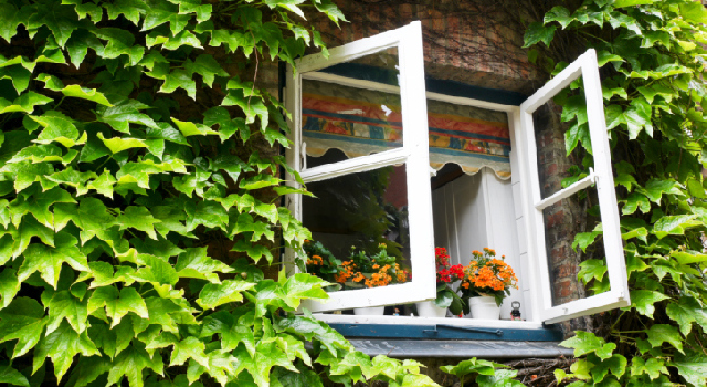 Comment faire face à la pollution intérieure ?