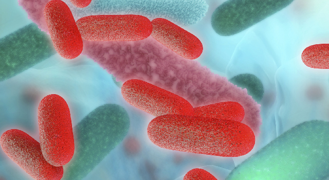 Bactéries et virus : faites-vous la différence ?