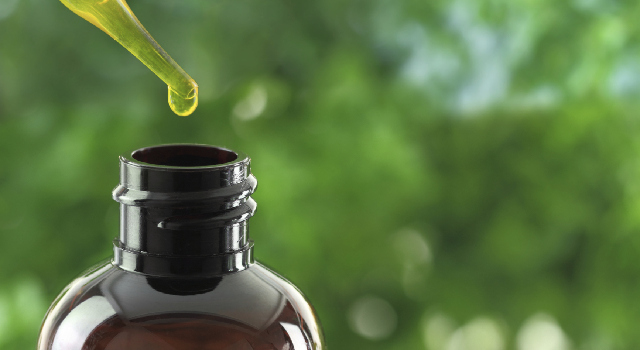 Tonique, digestive, antalgique, amincissante… Les multiples vertus de l’huile essentielle de gingembre