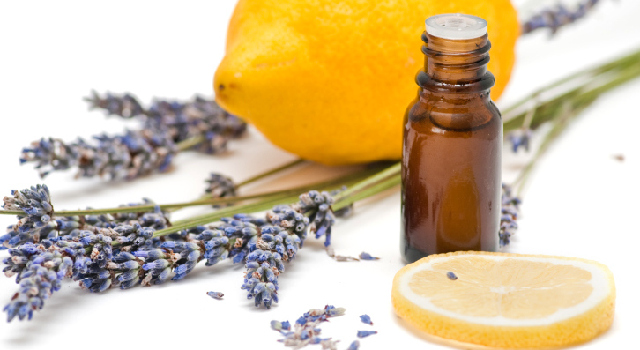 Quelles huiles essentielles pour éloigner les moustiques ?