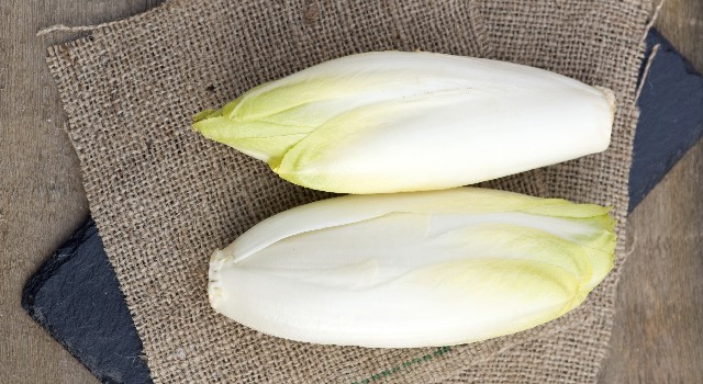 L’endive : l’alliée minceur