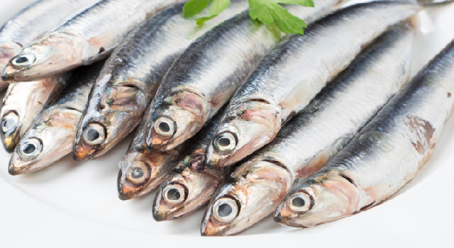 Les pouvoirs de la coenzyme Q10