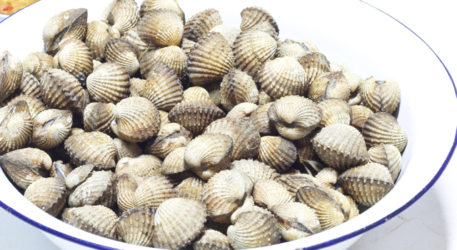 Persillade de coques