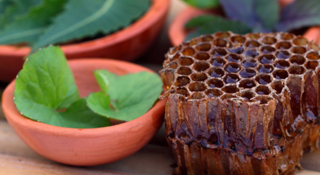 La propolis verte aide à lutter contre les microbes et virus de l'hiver