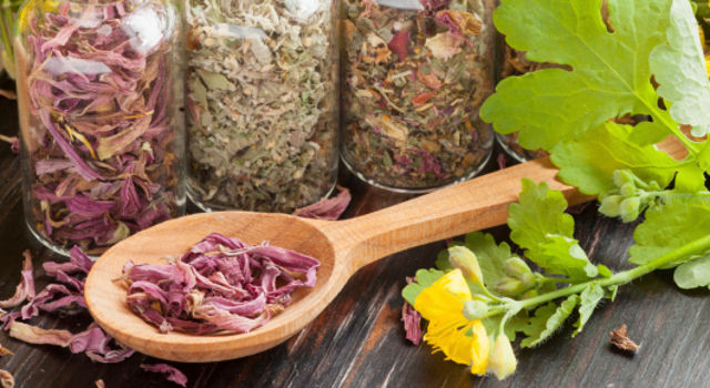 Bourgeons, feuilles, racines…Ces plantes qui reboostent naturellement la libido