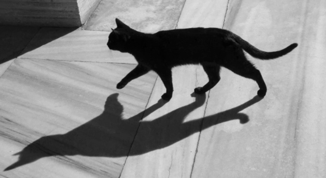 Pourquoi suis-je aussi superstitieuse ?